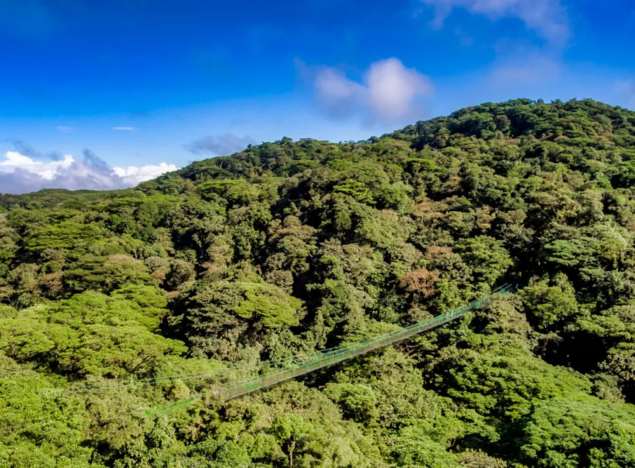 Selvatura puente colgante