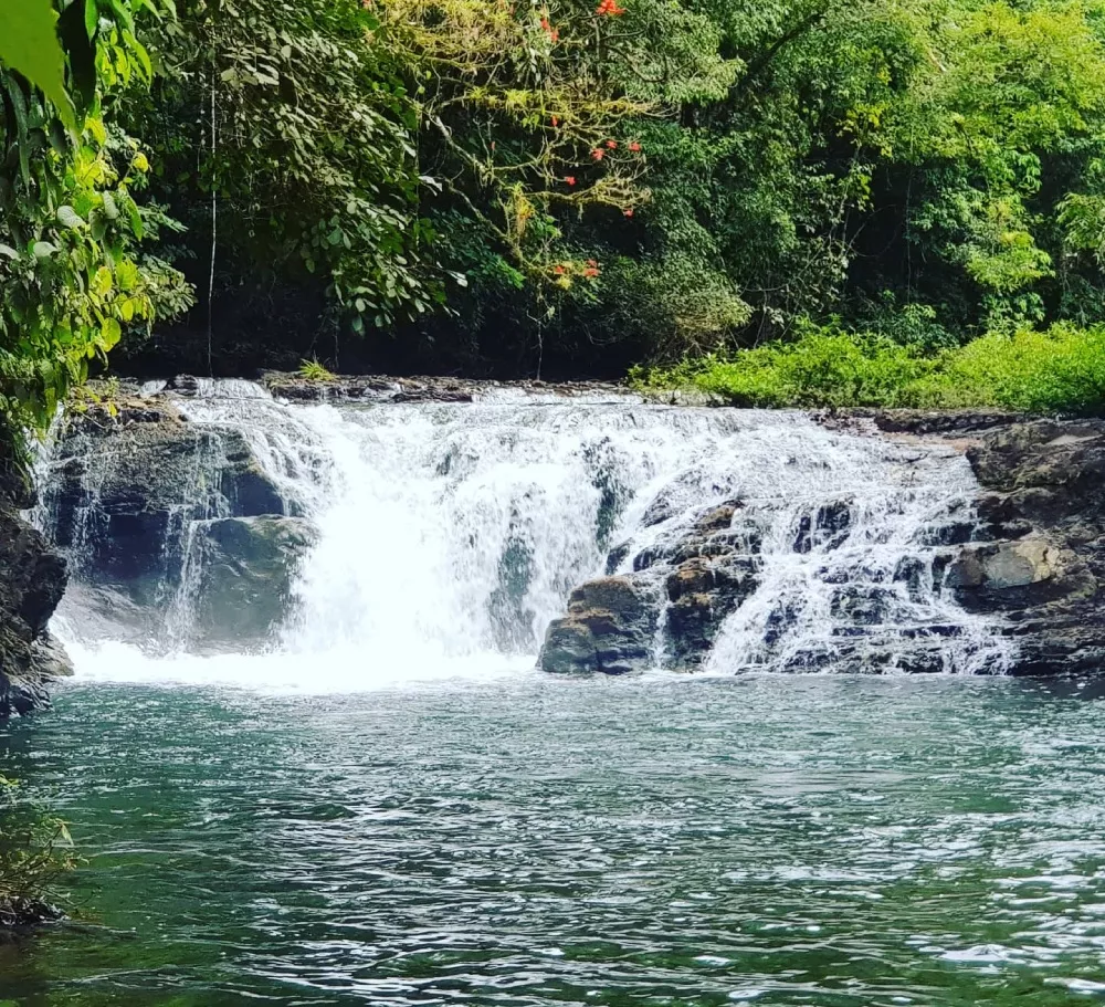 Ecofarms Carara Experience Catarata