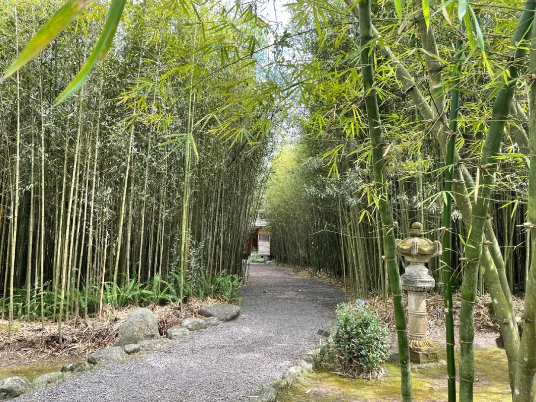 Jardín Botánico Lankester 5