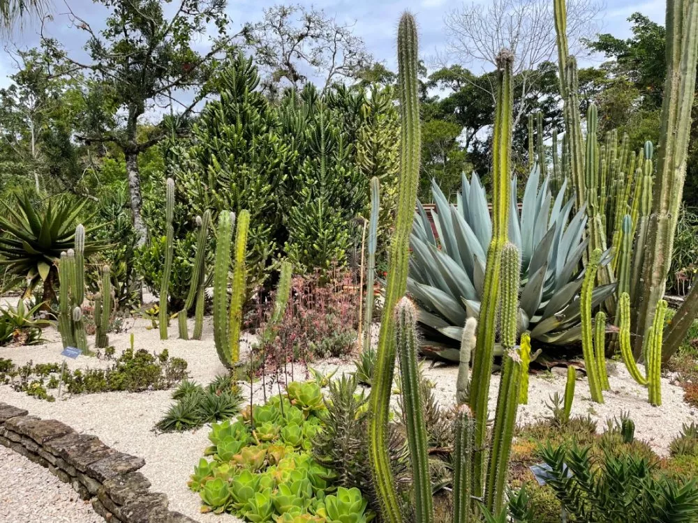 Jardín Botánico Lankester 7