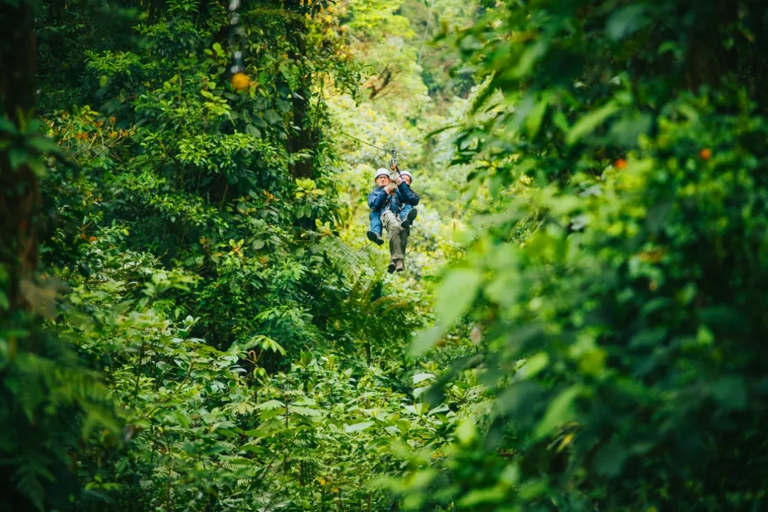 Canopy