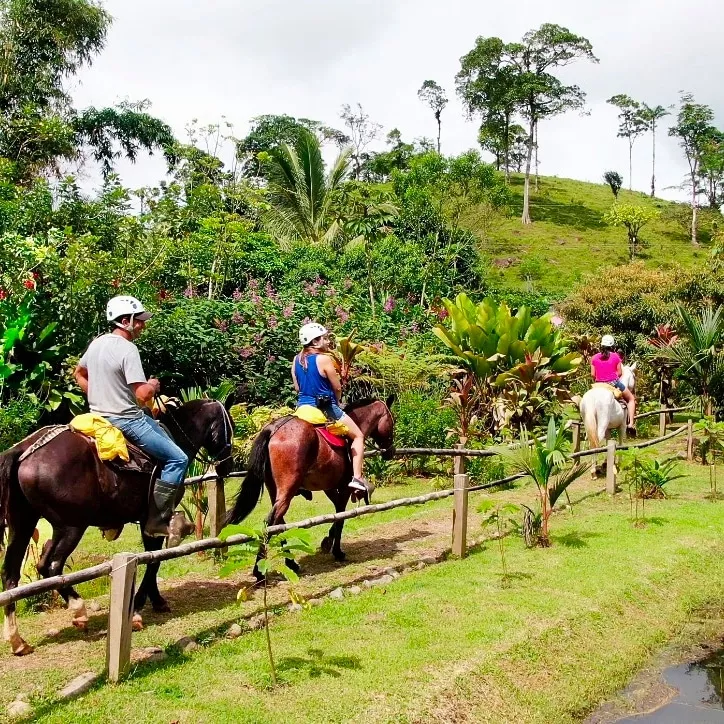 Tour a caballo tenorio 1